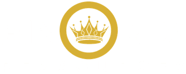 Logo de Binorex Mining, représentant une montagne stylisée avec des couleurs terreuses